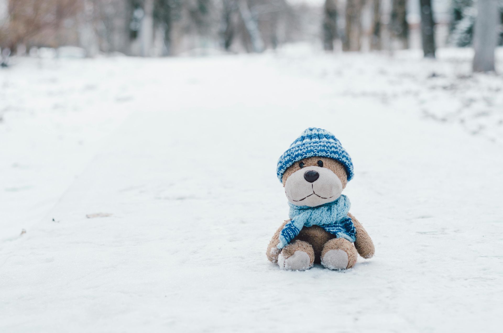 Teddy bear wearing blue hat and scarf sits on snow-covered path.