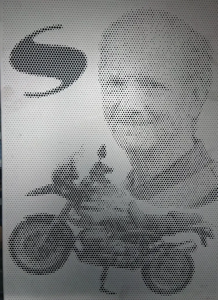 Fotolochblech