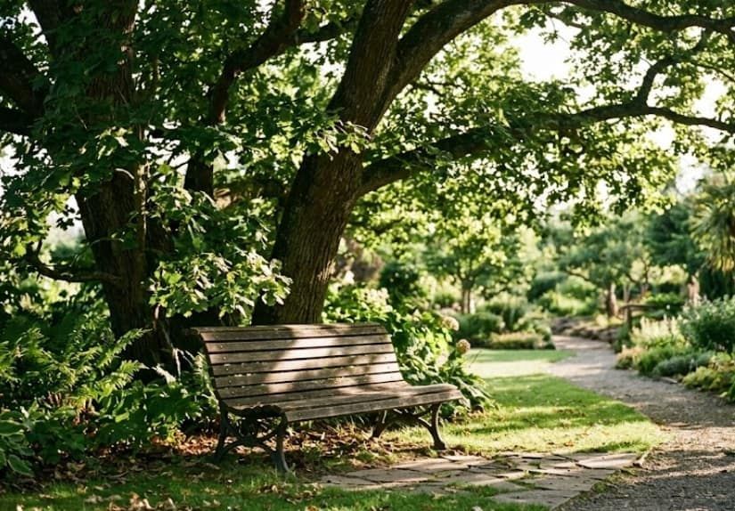 Peaceful garden bench beneath a shade tree offering quiet reflection in Wickliffe, OH