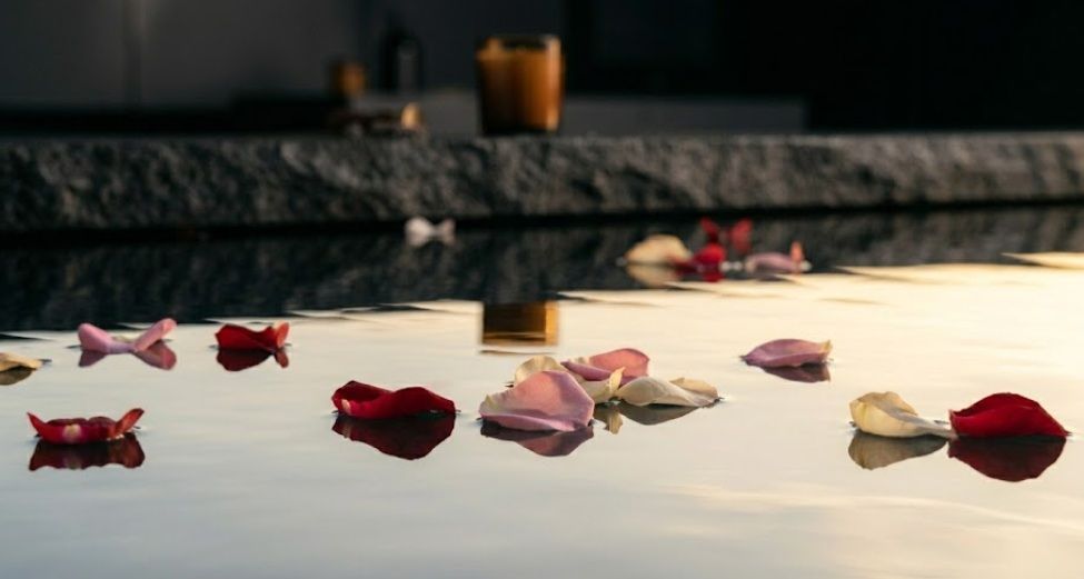 Rose petals floating on calm water during a peaceful cremation memorial in Wickliffe, OH