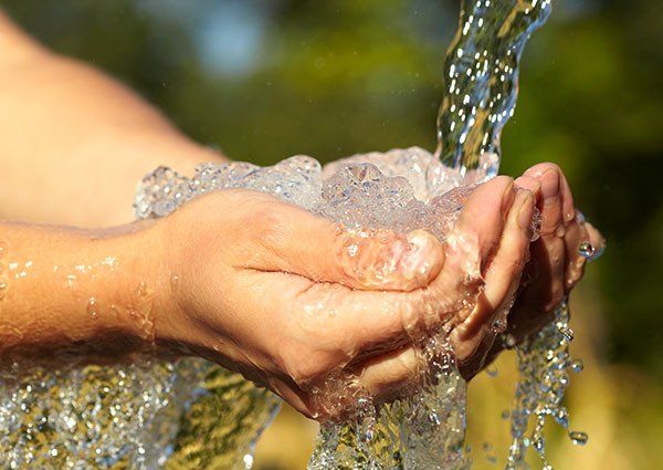 Mains tenant de l'eau en coupe, ruisseau frais qui coule, à l'extérieur avec un arrière-plan vert flou.