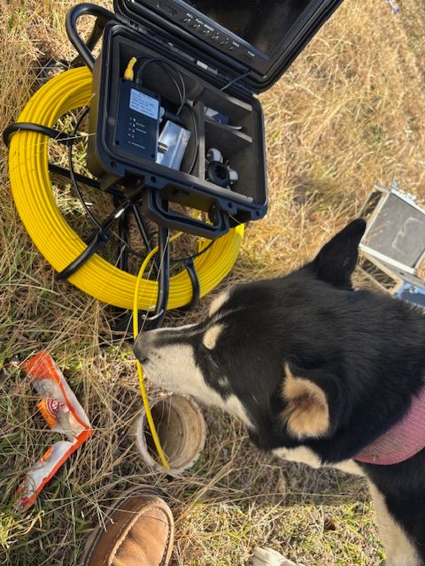 Hands in blue gloves use an orange handheld electric drain snake to clean a metal kitchen sink.