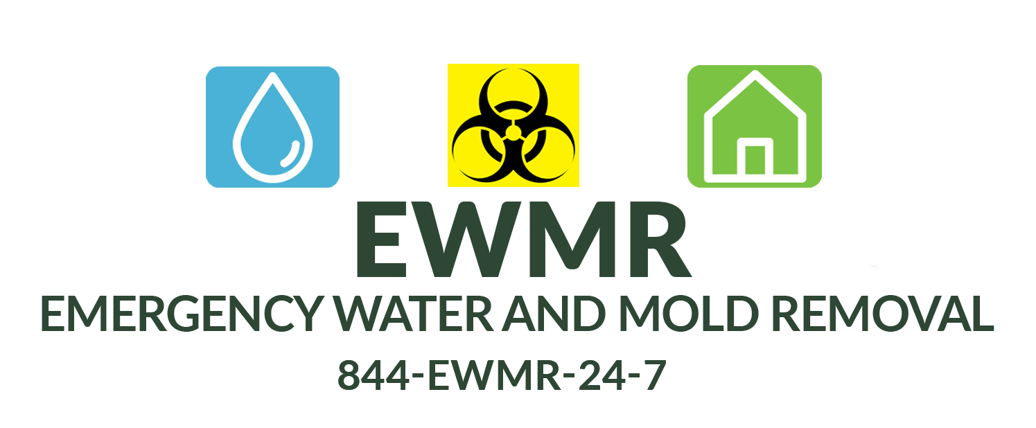 Mold Restoration Company Kearneysville & Martinsburg, WV Emergency