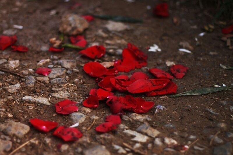 cremation services in Ukiah, CA