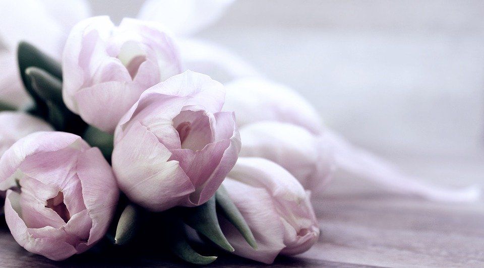 cremation services in Willits, CA