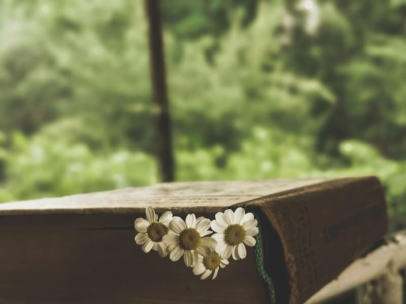 funeral homes in Willits, CA