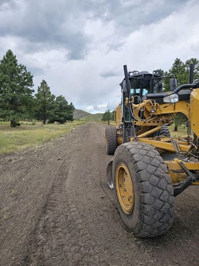 Yellow road grader on a dirt road beside pine trees under a cloudy sky
