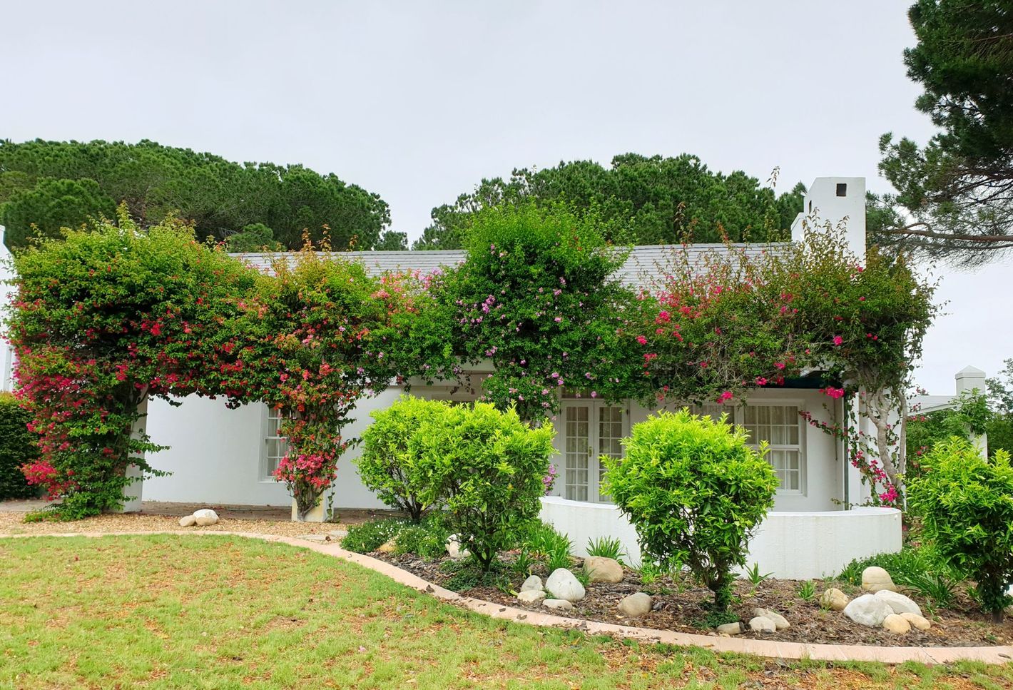 Front house curb landscape