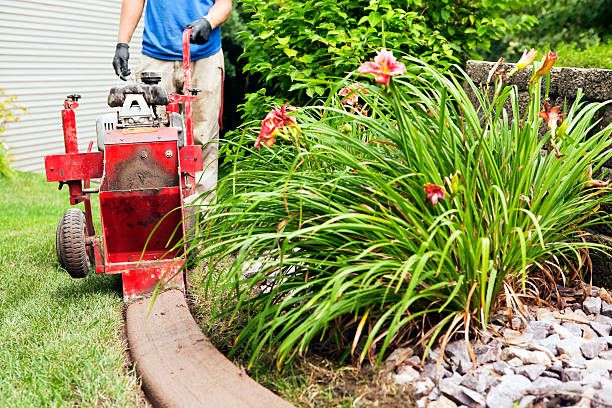 Installing concrete edging curbing between lawn and landscaping
