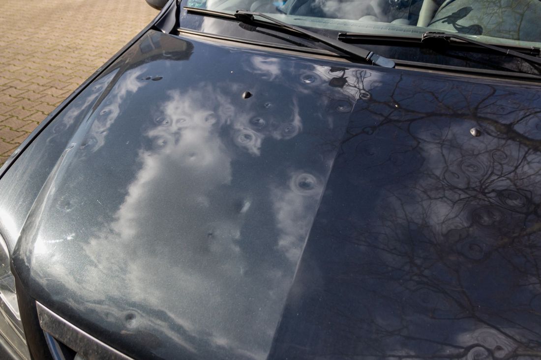 Cofano di un'auto nera ammaccato con riflessi di nuvole e rami d'albero.