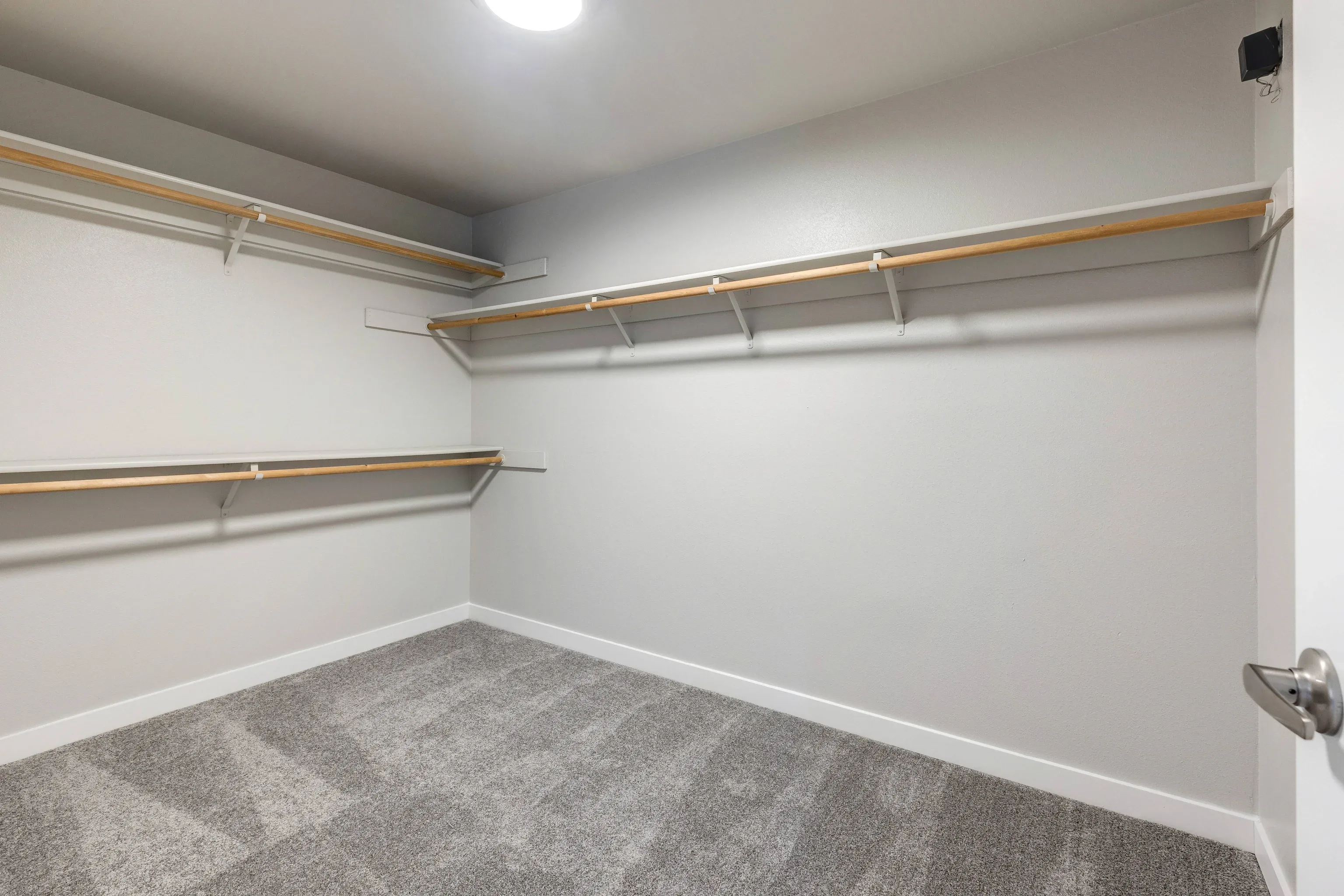 Walk-in closet with multiple hanging rods and shelves, carpeted floor.