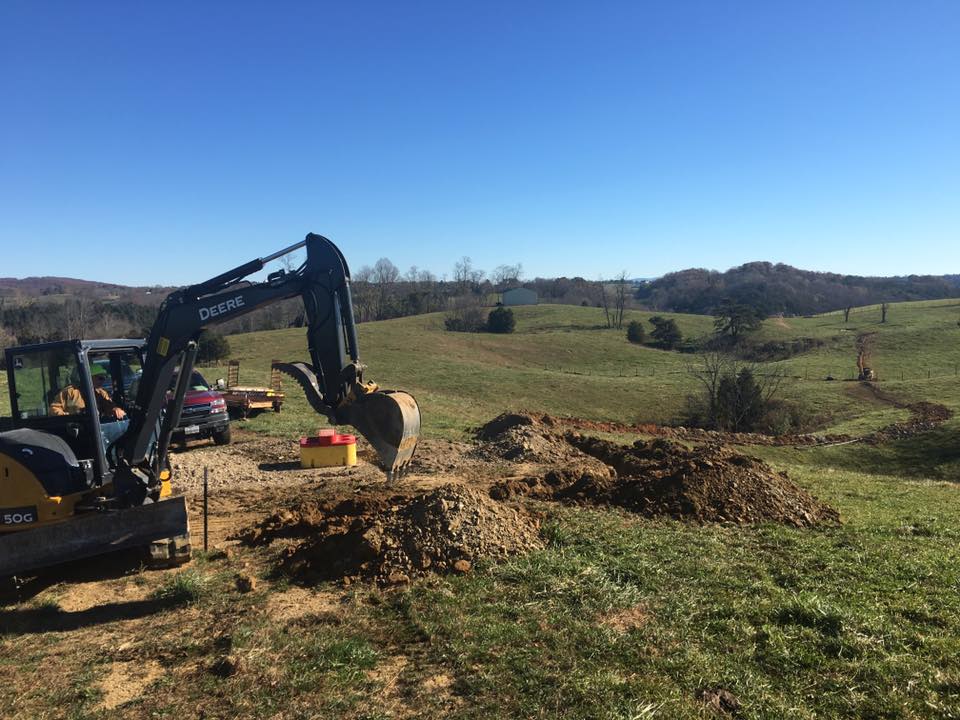 Group Of Cow Drinking Water | Blacksburg, VA | Fenton Well Drilling and Fenton Pump Service