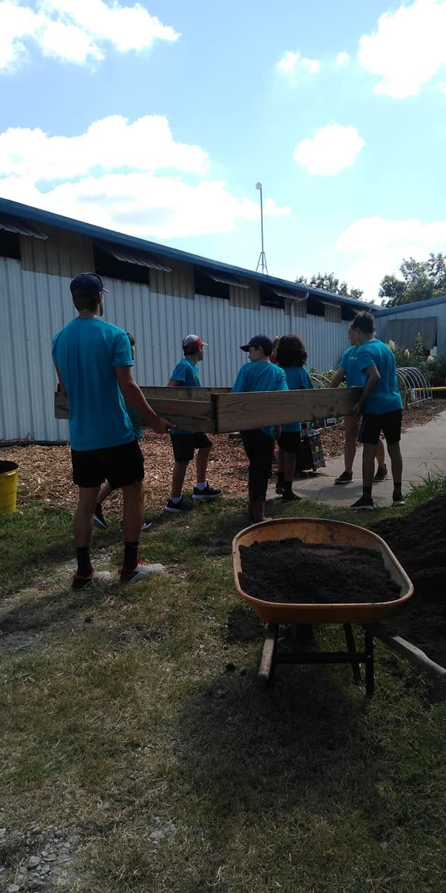 People carrying a large beam outdoors near a long building, with a wheelbarrow in the foreground.