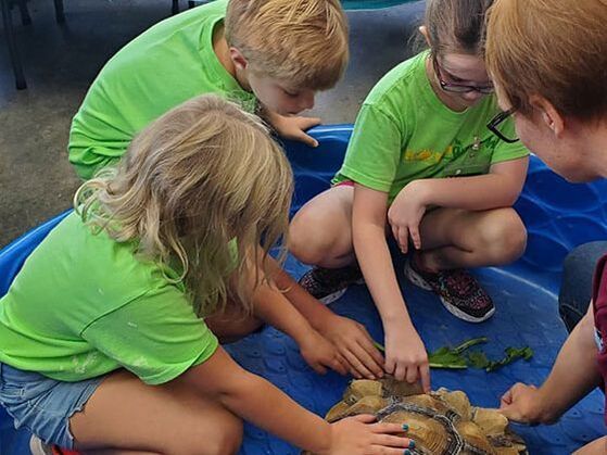 Children in green shirts examining a small turtle together on a blue tarp