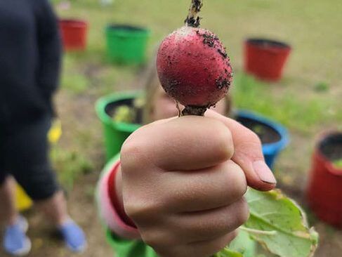 Child holding a small red fruit with soil in a garden, colorful pots blurred in the background