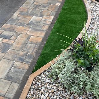 a brick walkway with a plant in the middle of it