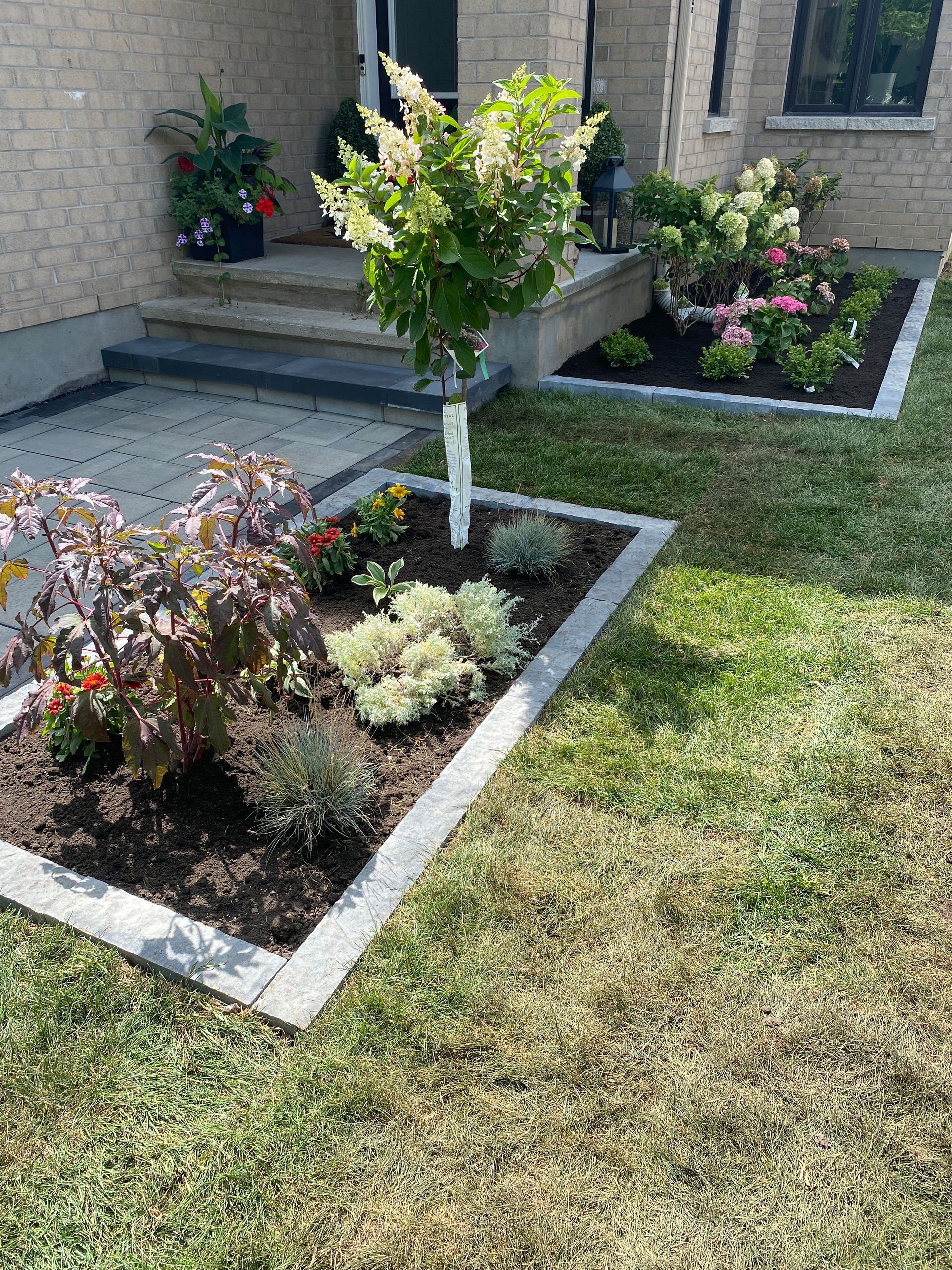 a garden with a tree in the middle of it