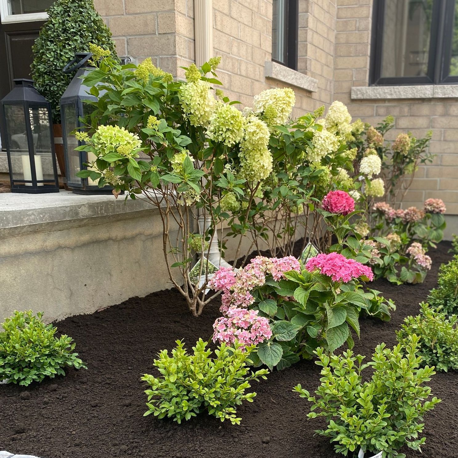 a garden with pink and white flowers and a black lantern