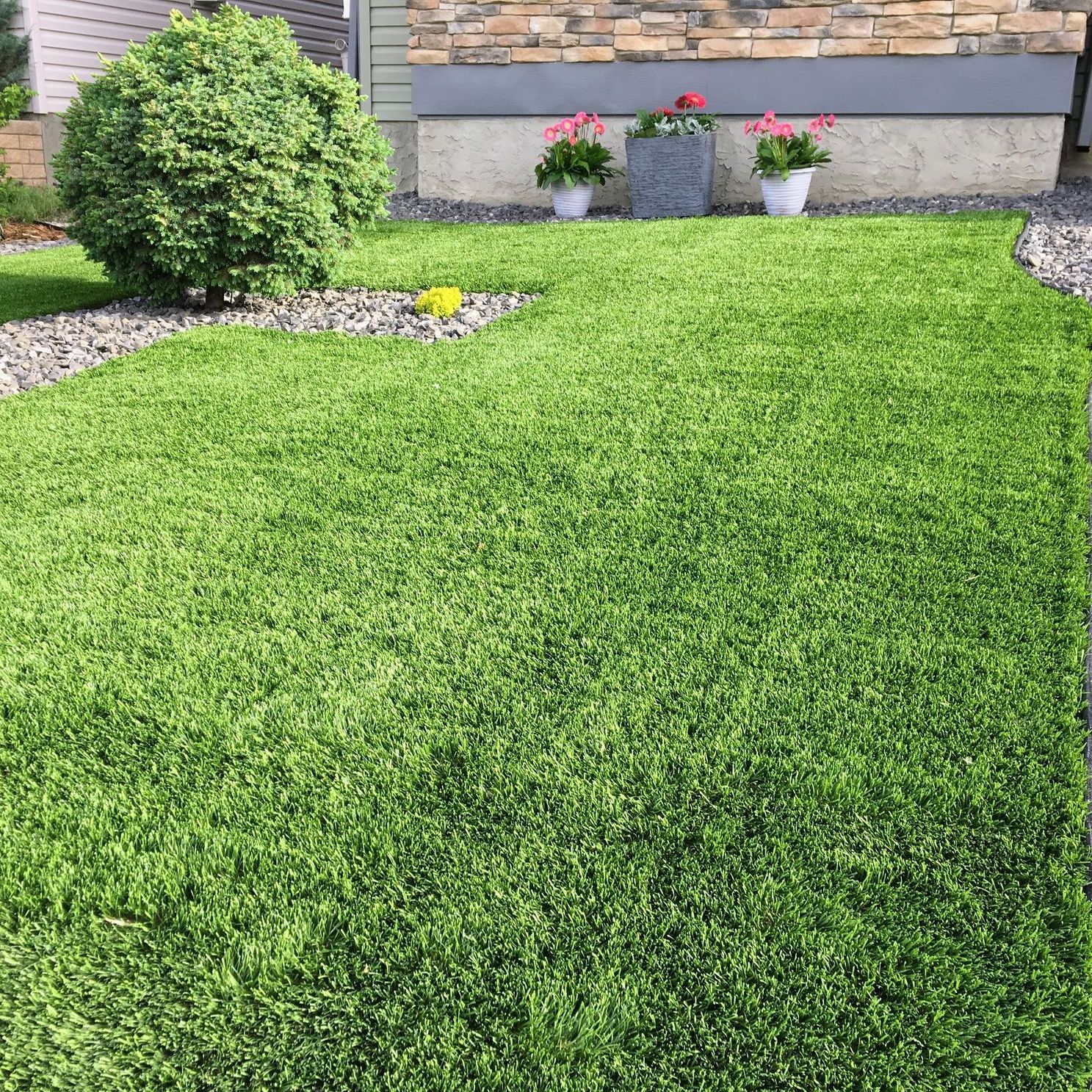 a lush green lawn with pink flowers in pots