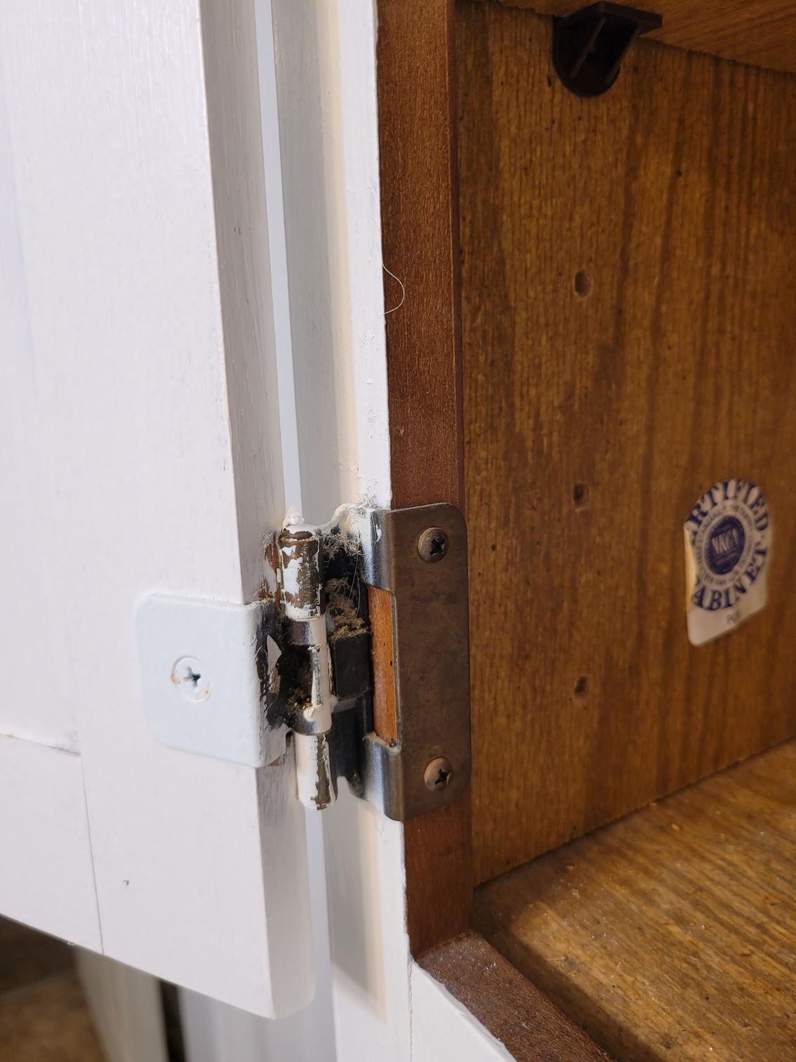 Close-up of a damaged door hinge and latch on a wooden door beside a white wall.