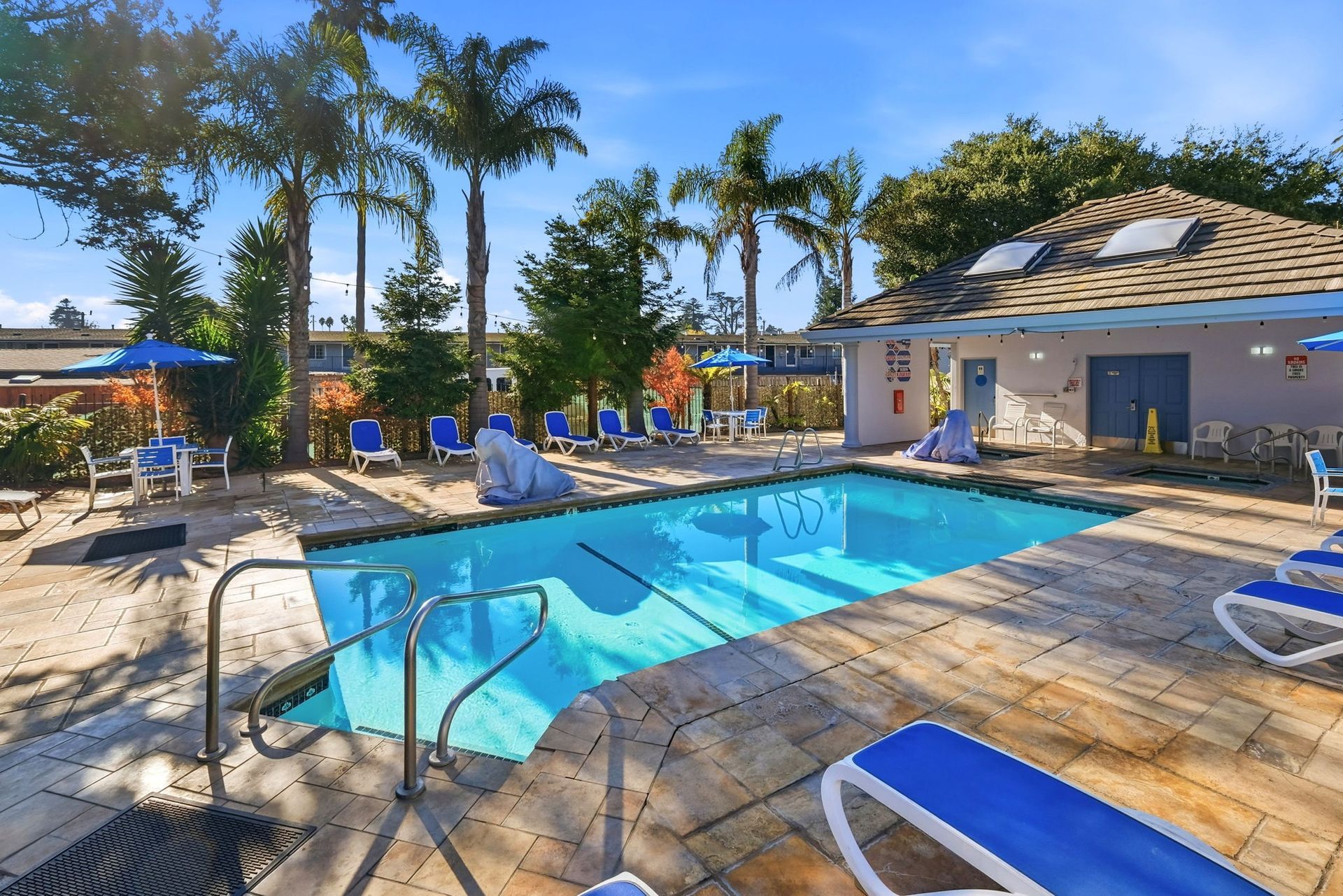 A sunny outdoor swimming pool with lounge chairs on a stone patio, surrounded by palm trees and a building.