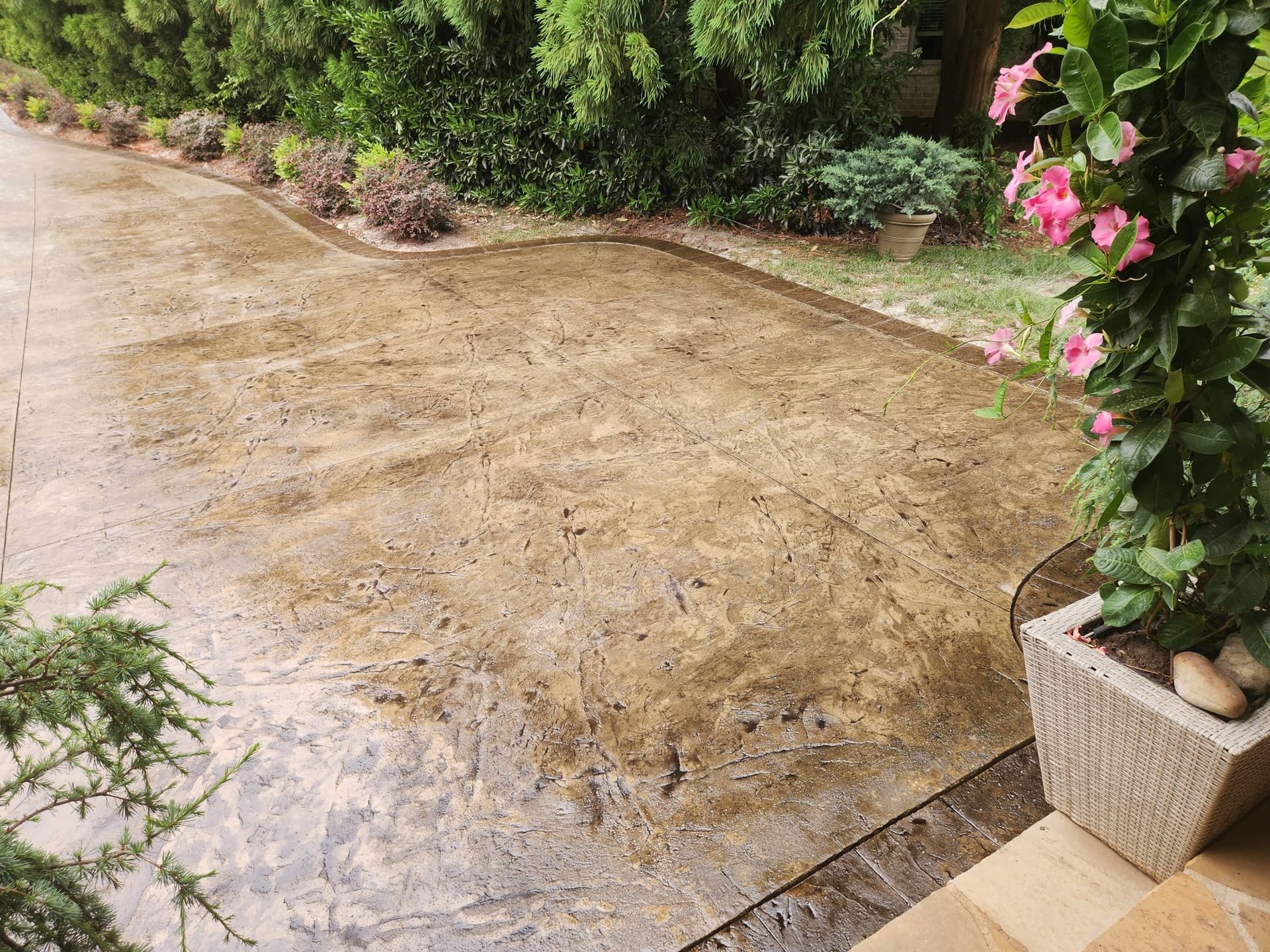 Wet concrete patio with border, surrounded by greenery and potted pink flowers.