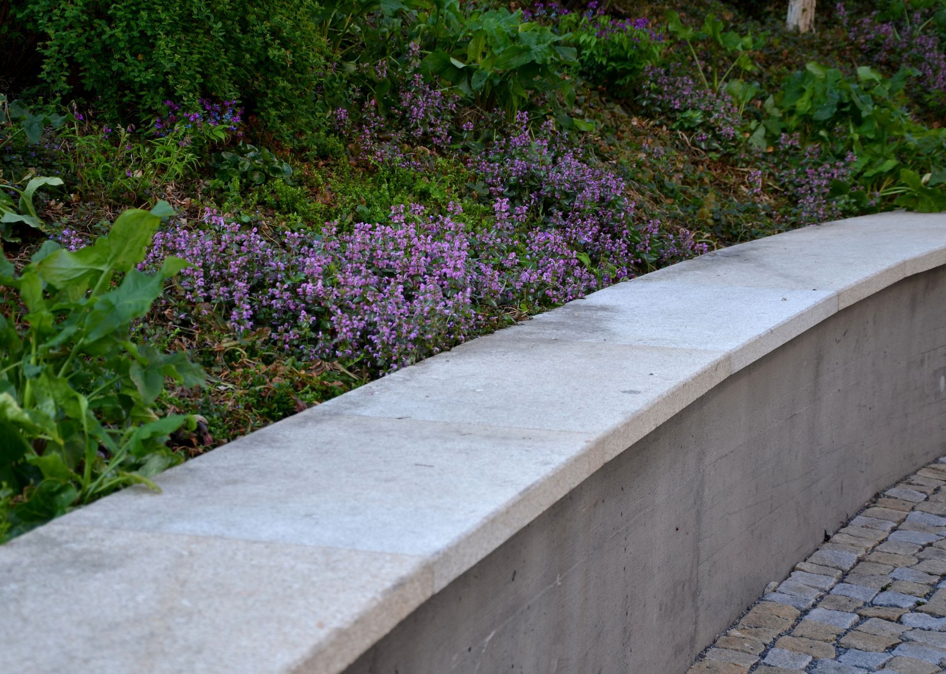 Concrete curved wall with purple flowers and greenery.