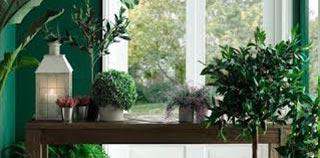 GREEN DECO] - DECORACIONES