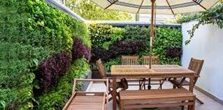 GREEN DECO] - PLAZA COMERCIALES