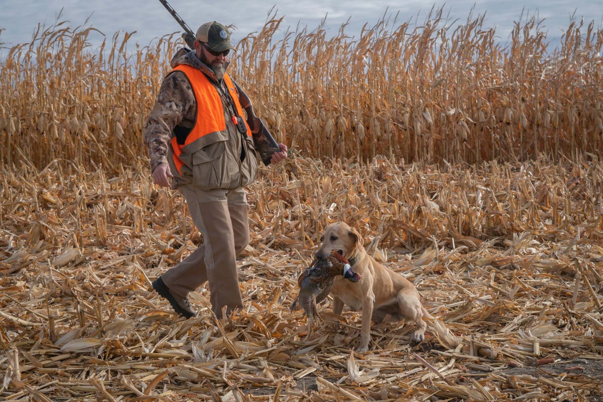 Corporate Pheasant Hunting in South Dakota SD Hunts