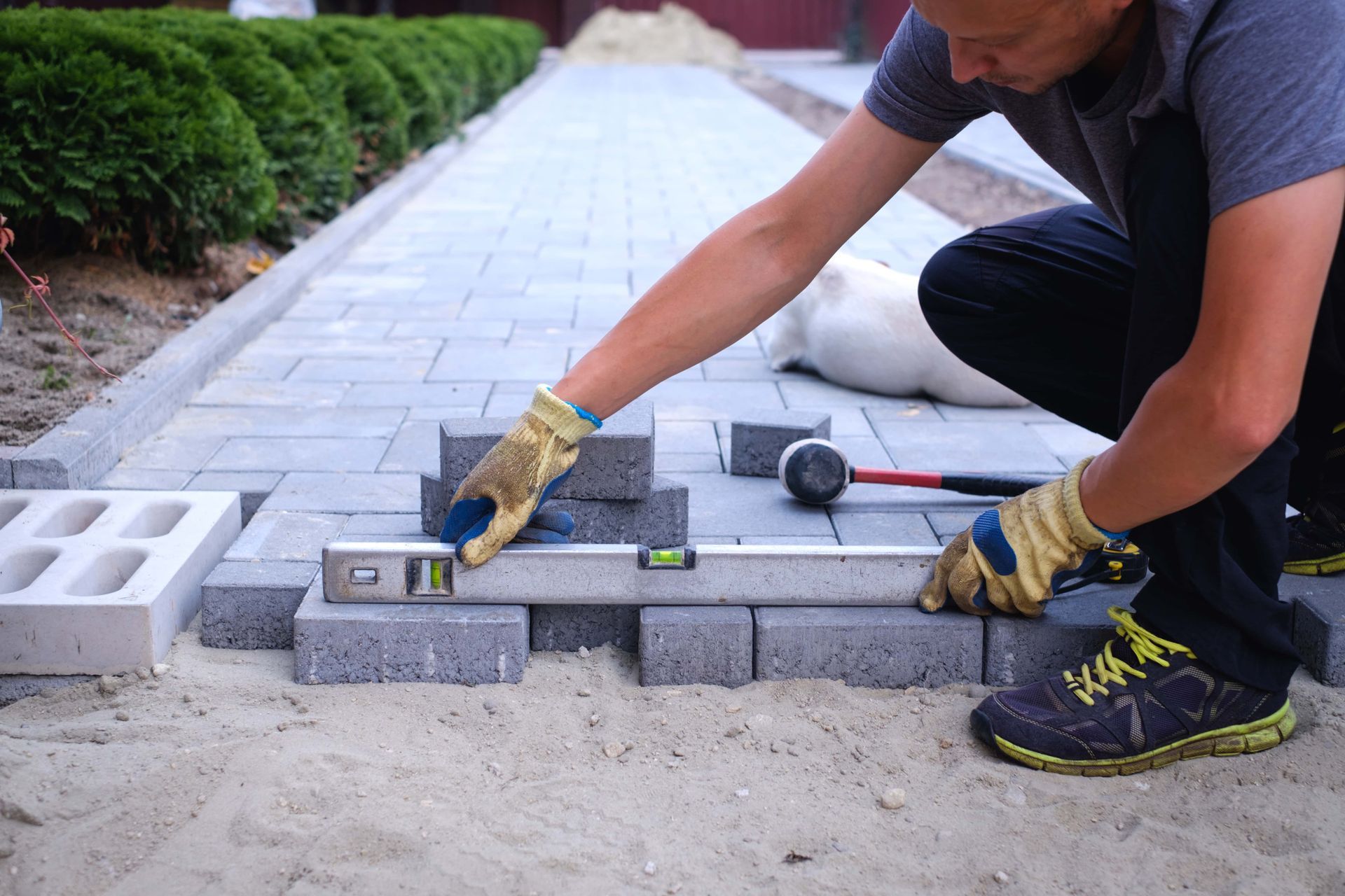 A man is laying bricks on a sidewalk.