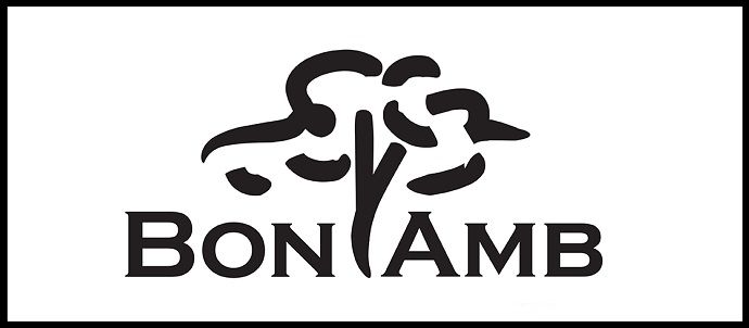 Logo voor BON AMB, met een abstract boomsymbool boven de bedrijfsnaam.