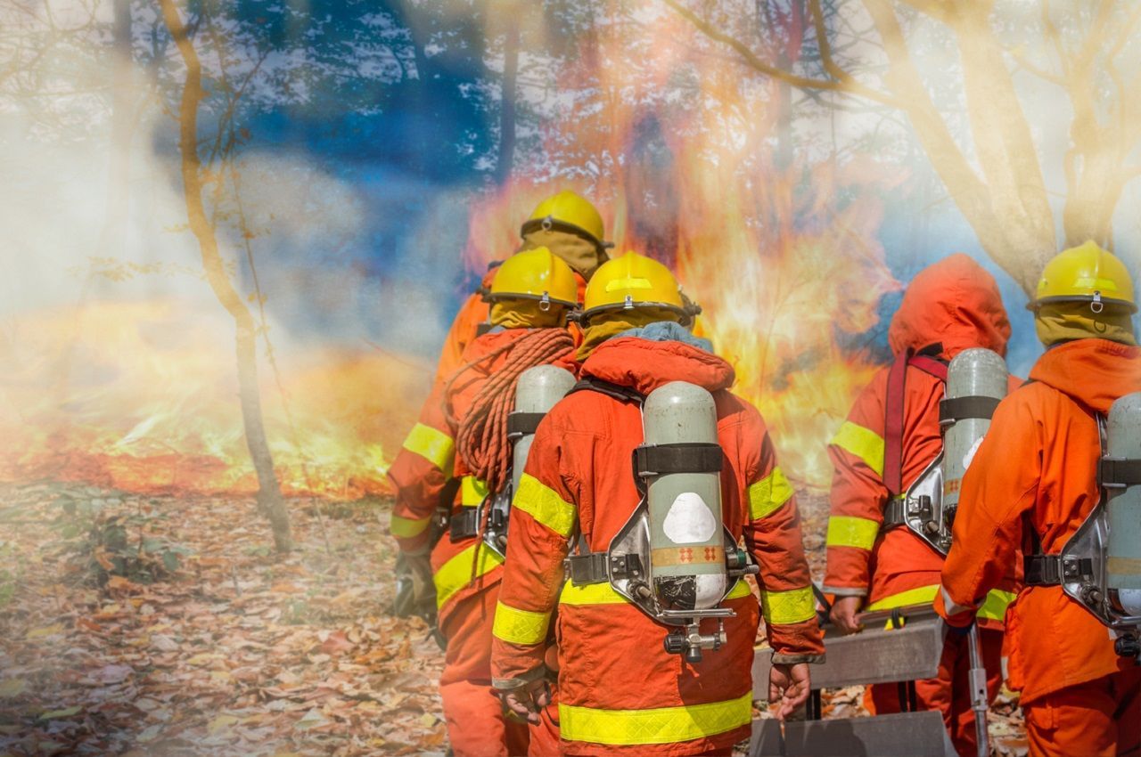 Brandweerlieden in oranje pakken en helmen bestrijden een bosbrand; de vlammen zijn zichtbaar.