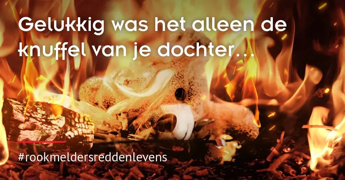 WisuAlarm+met+10+jaar+lithium+batterij+garantie