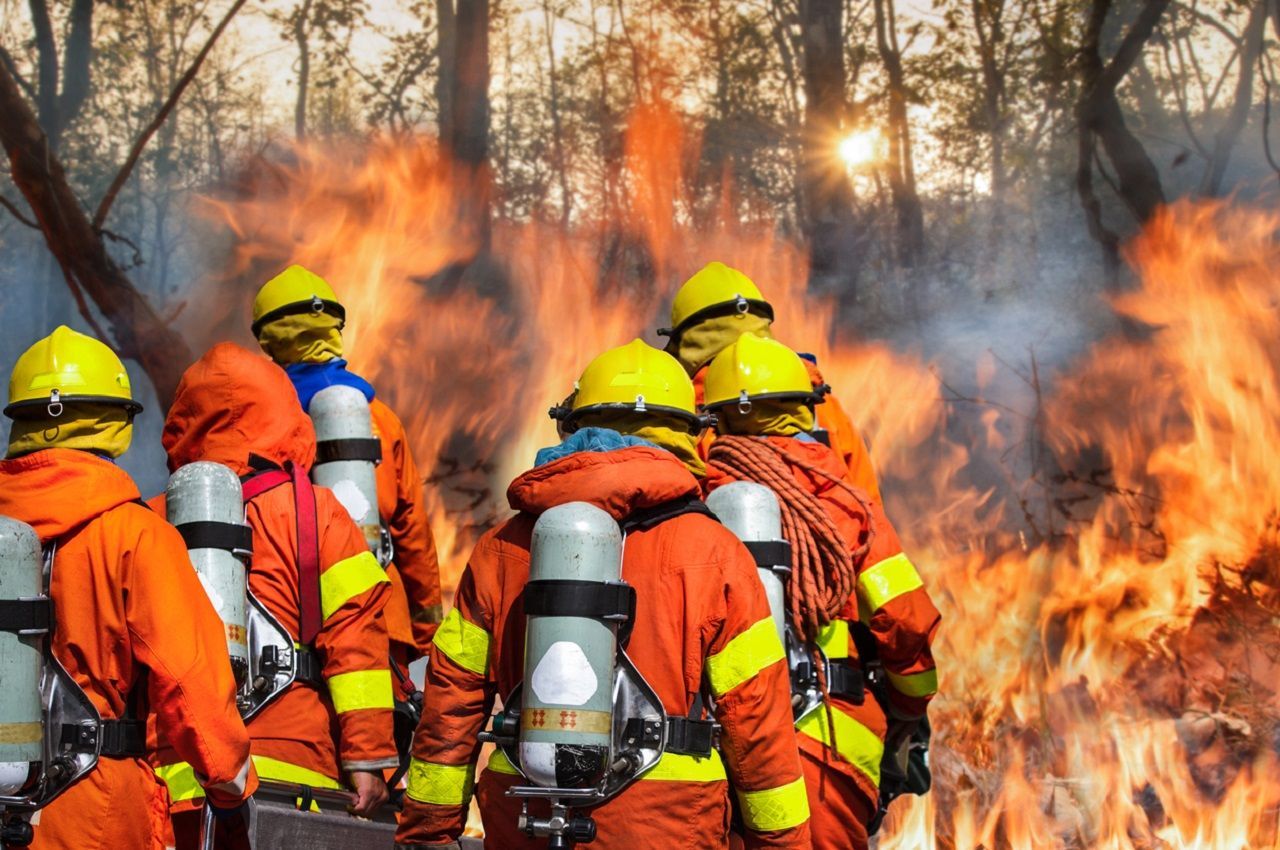 Brandweerlieden in oranje beschermende kleding met zuurstoftanks bestrijden een bosbrand.