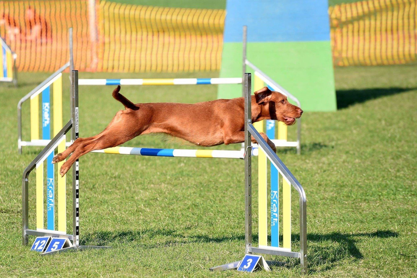 Agility
