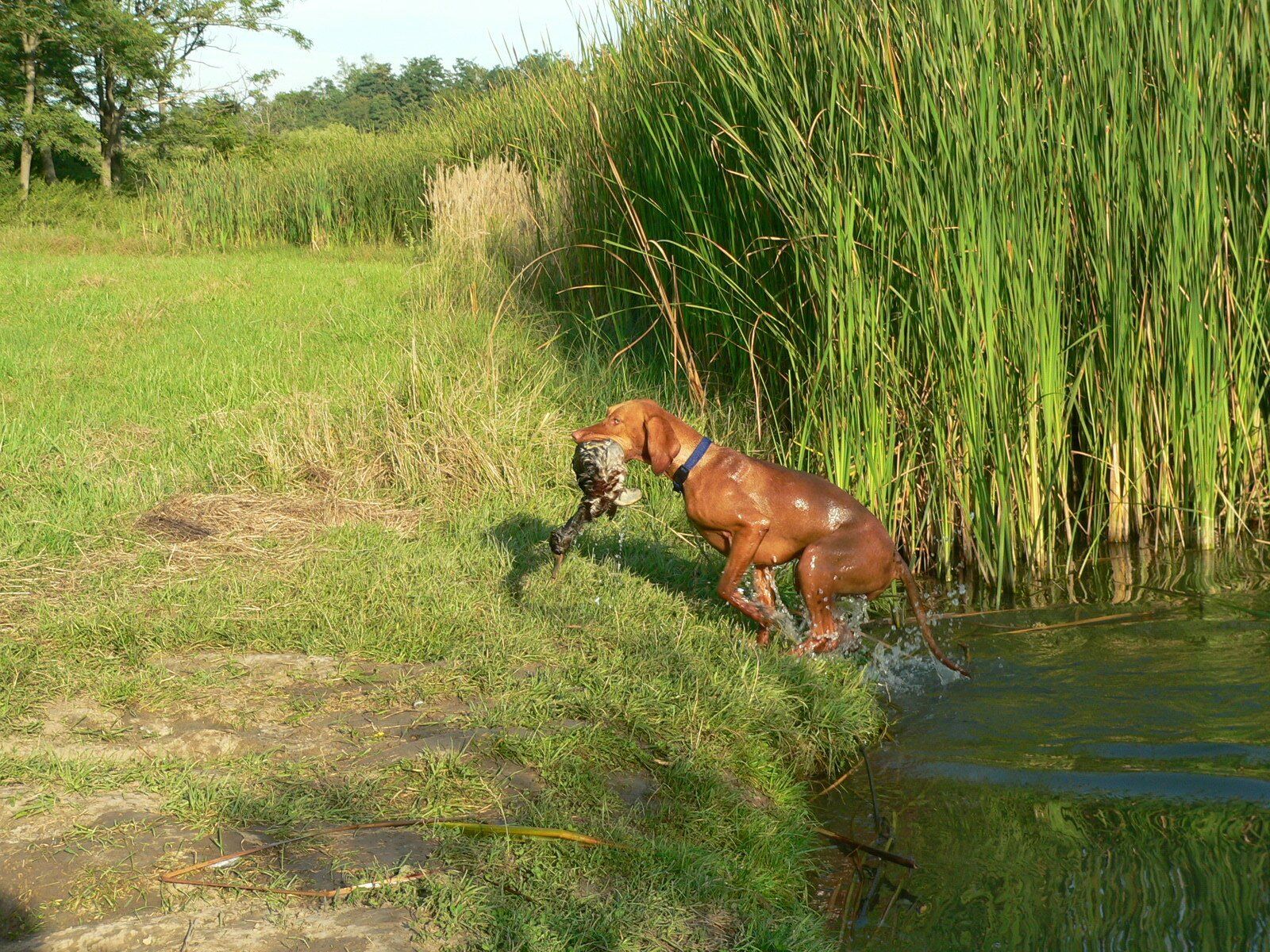 Waterwerk jacht