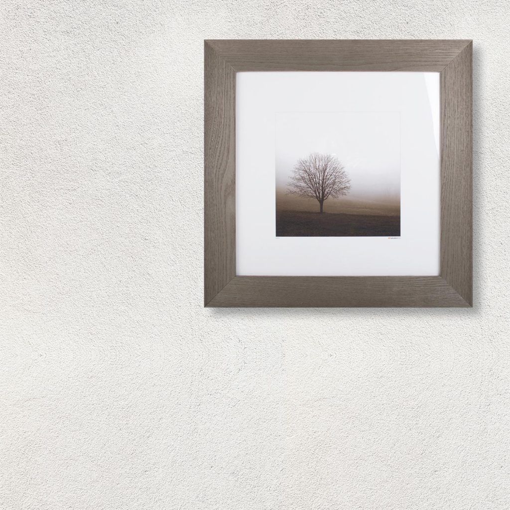 L'immagine di un albero incorniciato è appesa a un muro bianco.