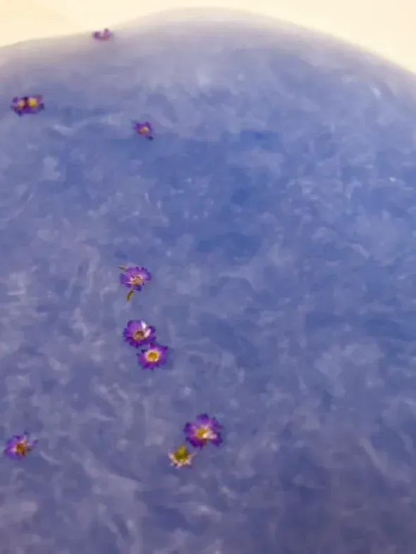 Sensus Lotus badpoeder ~ Spooky Purple