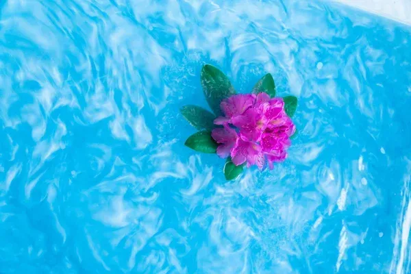 Sensus Lotus badpoeder ~ Ocean Blue