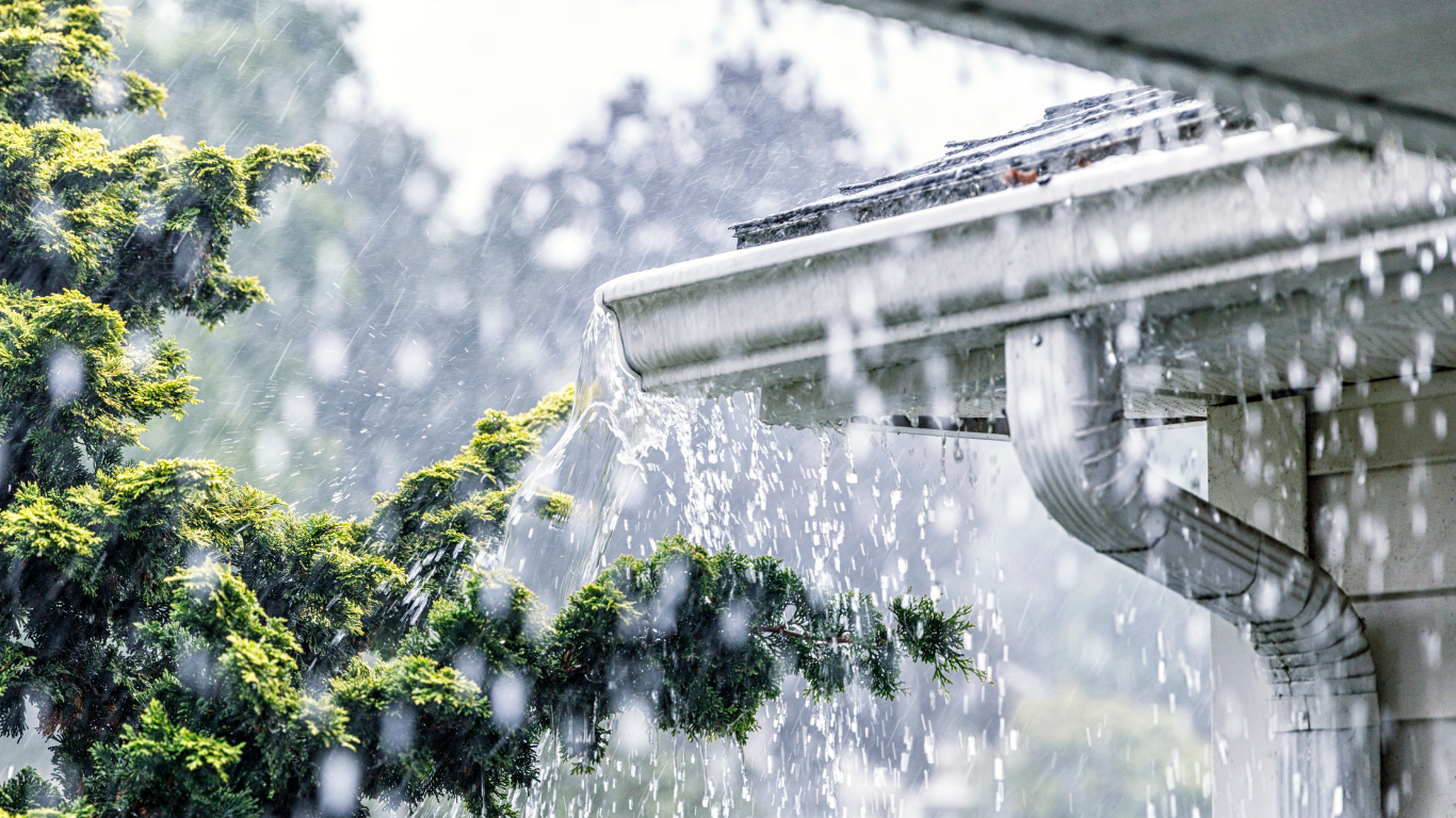 Gutter Services