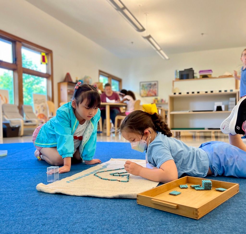 Materials Spotlight The Bead Chain