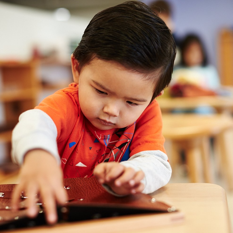 Montessori Primary Program 