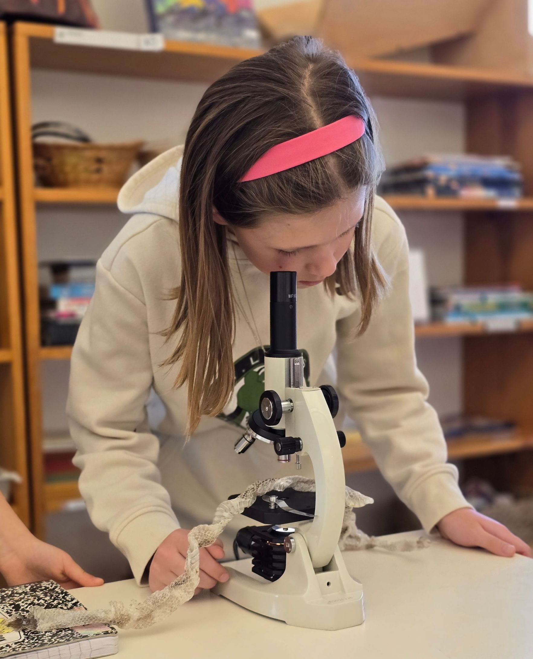 An Elementary student looking into a microscope. We believe it is critical to bring our students out into nature whenever possible, giving them an opportunity to learn and enjoy it firsthand.