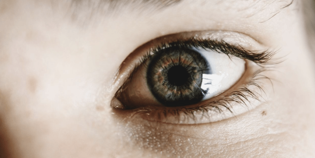 A child's eye