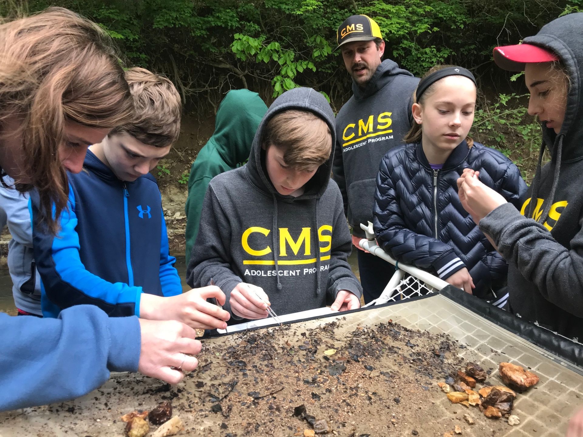 Engaging gifted middle school learners in their natural environment.