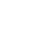 Empty, white background.