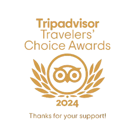 Tripadvisor Travelers' Choice Award badge with owl logo and laurel wreath, gold on white.