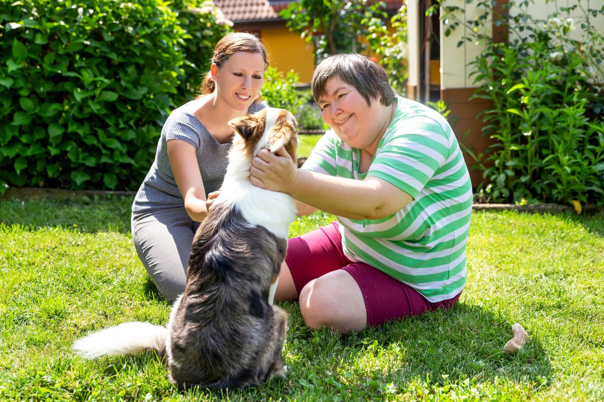 Two women petting a dog on green grass outdoors. The woman in the green shirt smiles.