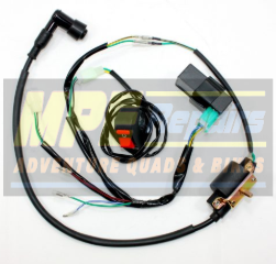 Wiring Harness for a Small Engine With a Coil — MPE Adventure Quads & Bikes In Thornton, NSW